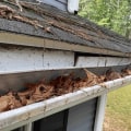 What are the effects of damaged gutters?