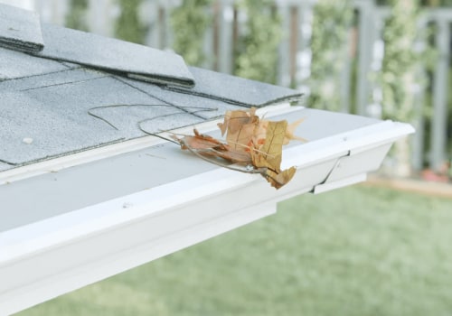 The Truth About Gutter Protection: An Expert's Perspective